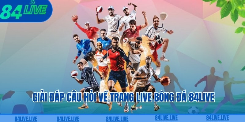 Giải đáp câu hỏi về trang live bóng đá 84live